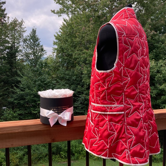 ❣️ BYLYSE VEST - Picture 10 of 14